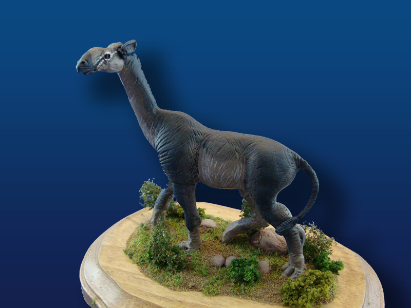 Paraceratherium.jpg