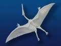 Quetzalcoatlus Flying
