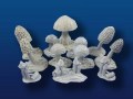 Mushrooms #1 (12 pcs, 6 styles)