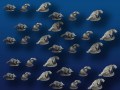 28mm Raccoons, Rabbits & Beaver (30 pieces, 3 styles)