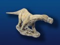 Camarasaurus  "chambered lizard" - Hand Painted