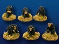 Chimpanzee (6) 2 of each pose